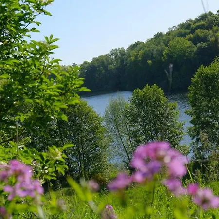 Siedlisko Egniu Nad Jeziorem Pojezierze Drawskie Zabinek